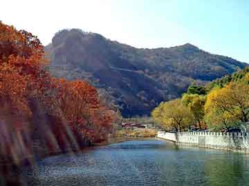 新澳天天开奖资料大全旅游团，都市重生小说